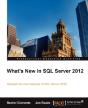 Sql Server 2012 Professional Tips And Tricks - Preview