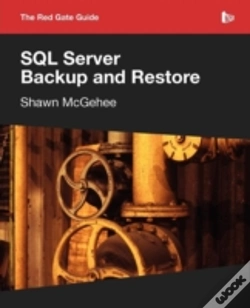 Capa do artigo Sql Server Backup And Restore