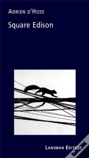 Capa do artigo Square Edison