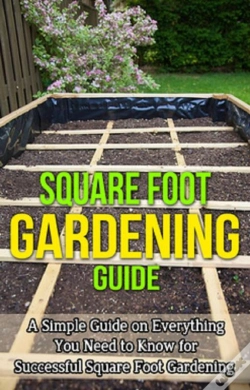 Capa do artigo Square Foot Gardening Guide