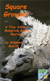 Capa do artigo Square Grouper