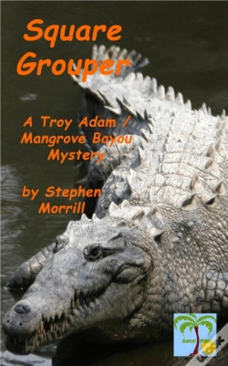 Capa do artigo Square Grouper