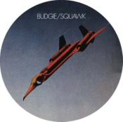 Capa do artigo Squawk - Vinil