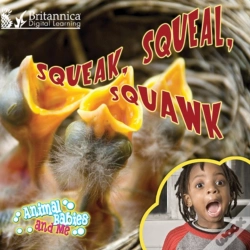 Capa do artigo Squeak, Squeal,  Squawk