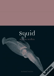 Capa do artigo Squid