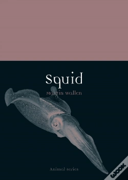 Capa do artigo Squid