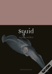 Capa do artigo Squid
