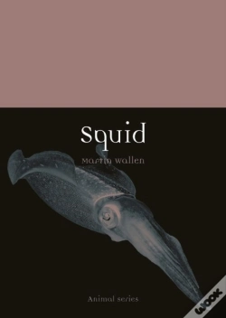 Capa do artigo Squid