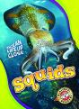 Squids - Preview