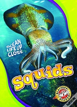 Capa do artigo Squids