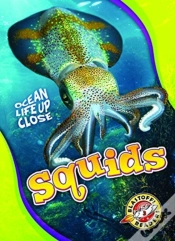 Capa do artigo Squids
