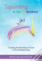 Capa do artigo Squinting To See The Rainbow