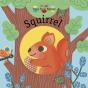 Squirrel - Preview