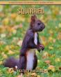 Squirrel - Preview