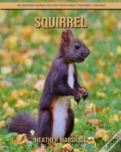 Capa do artigo Squirrel