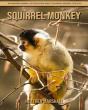 Squirrel Monkey - Preview
