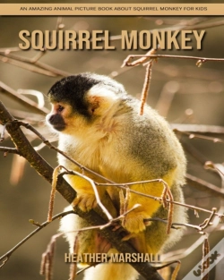 Capa do artigo Squirrel Monkey