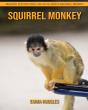 Squirrel Monkey - Preview