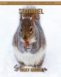 Squirrel - Preview