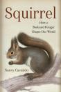 Squirrel - Preview