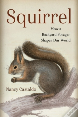 Capa do artigo Squirrel