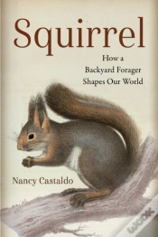 Capa do artigo Squirrel