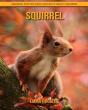 Squirrel - Preview