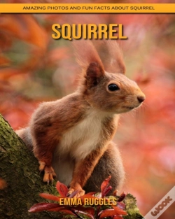 Capa do artigo Squirrel