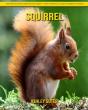 Squirrel - Preview