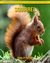 Capa do artigo Squirrel