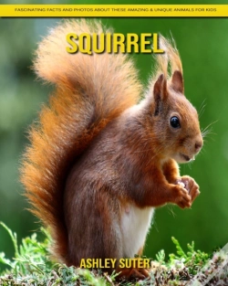 Capa do artigo Squirrel