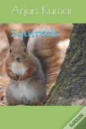 Capa do artigo Squirrels