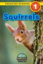 Squirrels - Preview