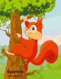 Squirrels Coloring Book 1   2 - Preview