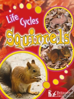 Capa do artigo Squirrels