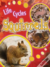 Capa do artigo Squirrels