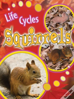 Capa do artigo Squirrels