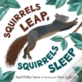 Squirrels Leap Squirrels Sleep