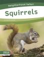 Squirrels - Preview