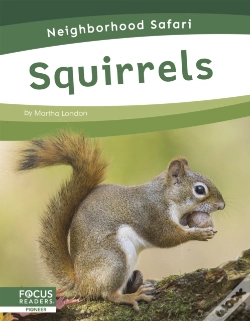 Capa do artigo Squirrels