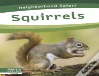 Squirrels