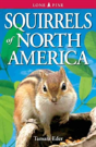 Squirrels Of North America - Preview