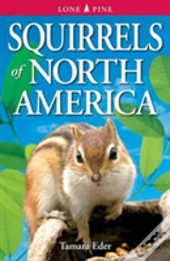 Squirrels Of North America