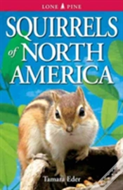 Capa do artigo Squirrels Of North America