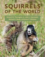 Squirrels Of The World