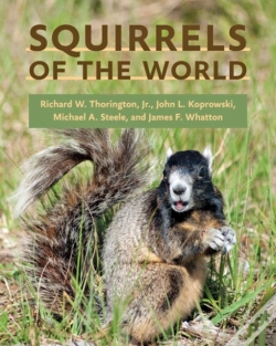 Capa do artigo Squirrels Of The World