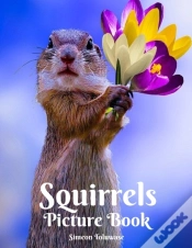 Capa do artigo Squirrels Picture Book