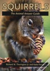 Capa do artigo Squirrels