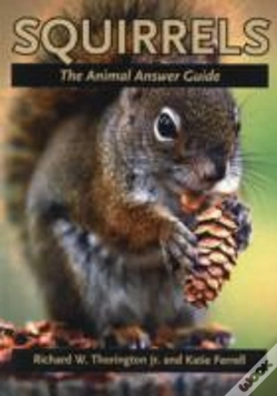 Capa do artigo Squirrels