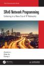 Srv6 Network Programming - Preview